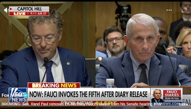 Sen Rand Paul Removes Dr Faucis Lawyer From Senate Hearing for Disruptive Behavior